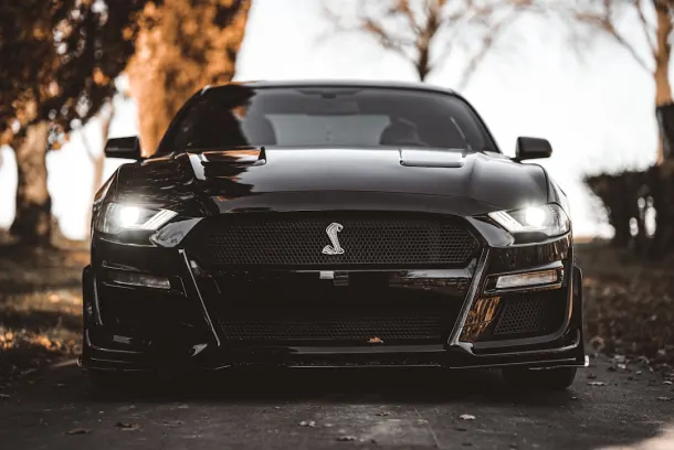 Luckland Cazino Cazinou Aplicație Android/iOS